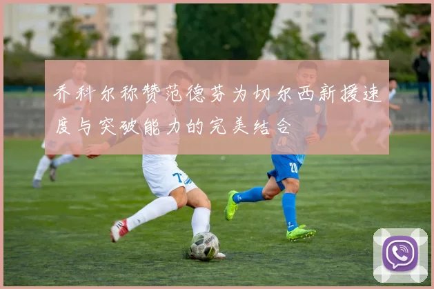 乔科尔称赞范德芬为切尔西新援速度与突破能力的完美结合
